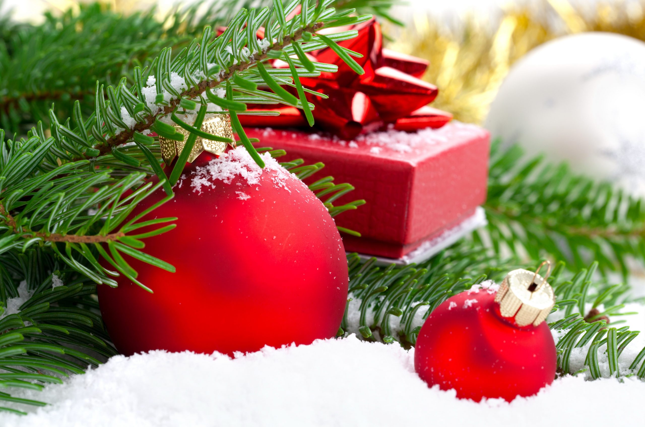 holiday office décor trends