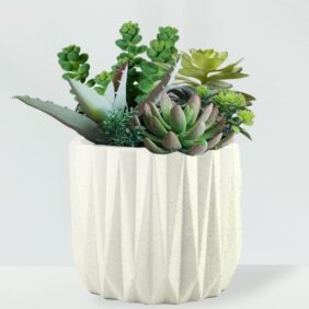Geometric-White-Succulents-1.jpg